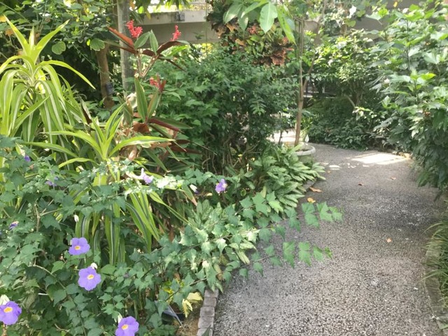 施設写真55