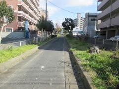 第4号那珂緑地