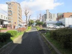 第4号那珂緑地