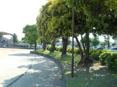 都城運動公園陸上競技場