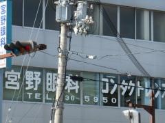 宮野眼科