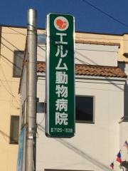 エルム動物病院