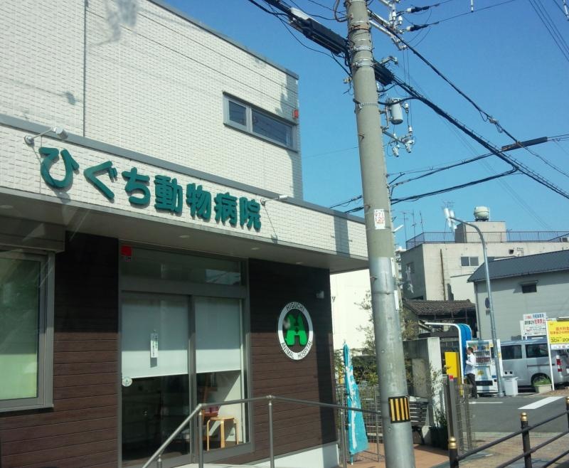 ひぐち動物病院