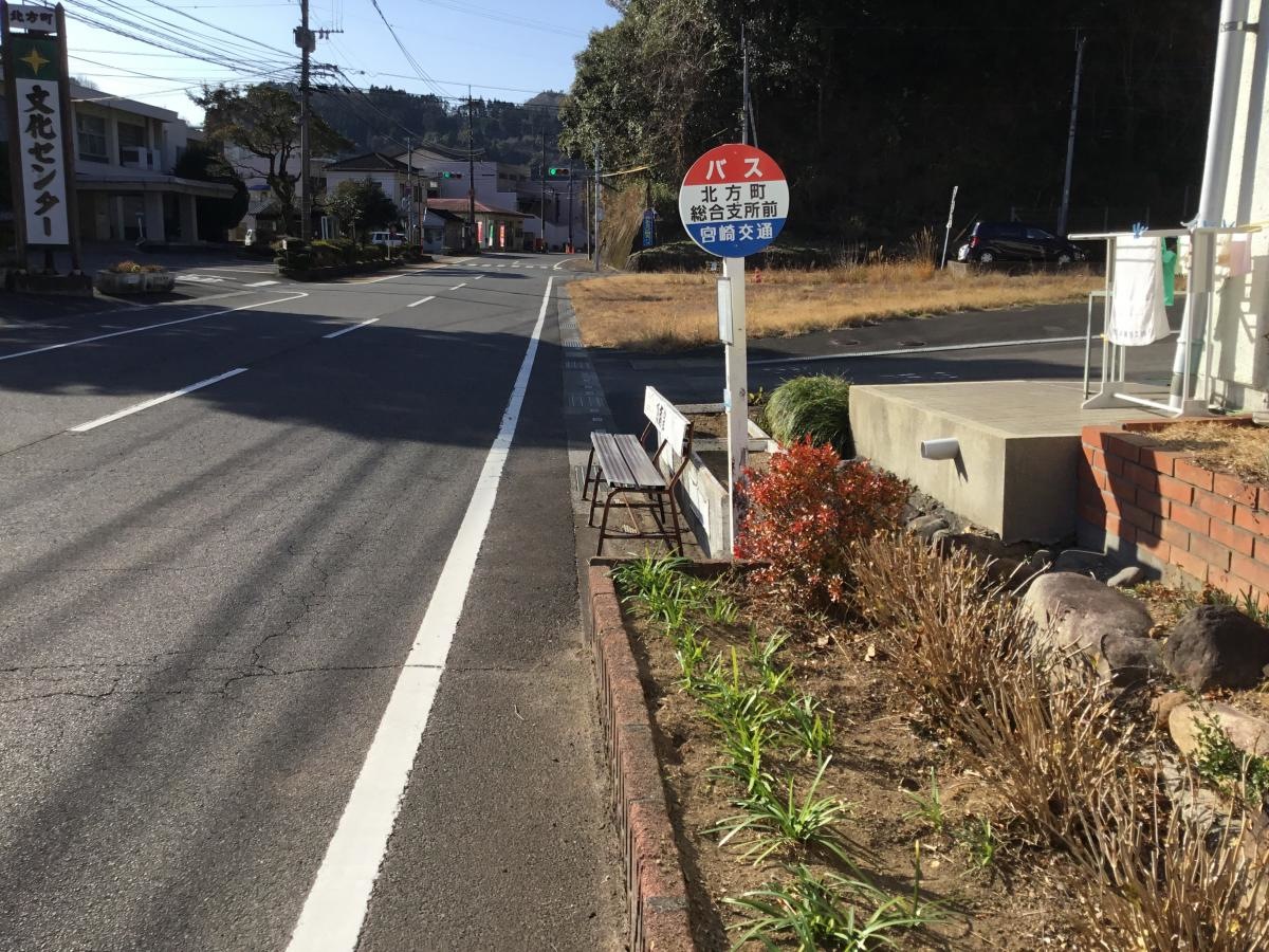 全景です。