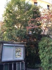 ザムザ阿佐谷