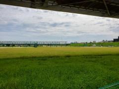 江戸川河川敷緑地