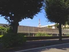 橋本小学校