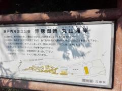 丸山県民サンビーチ