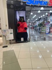 スーパースポーツゼビオ　エミフルMASAKI店