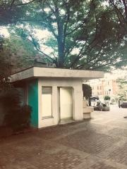 西郷公園