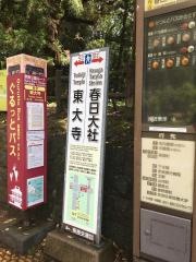 「東大寺大仏殿・国立博物館」バス停留所