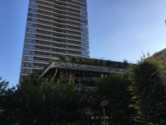 ソコラ武蔵小金井クロス