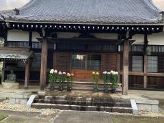 燈明寺