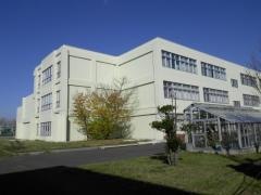 栄緑小学校