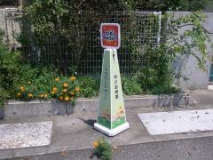 市川幼稚園