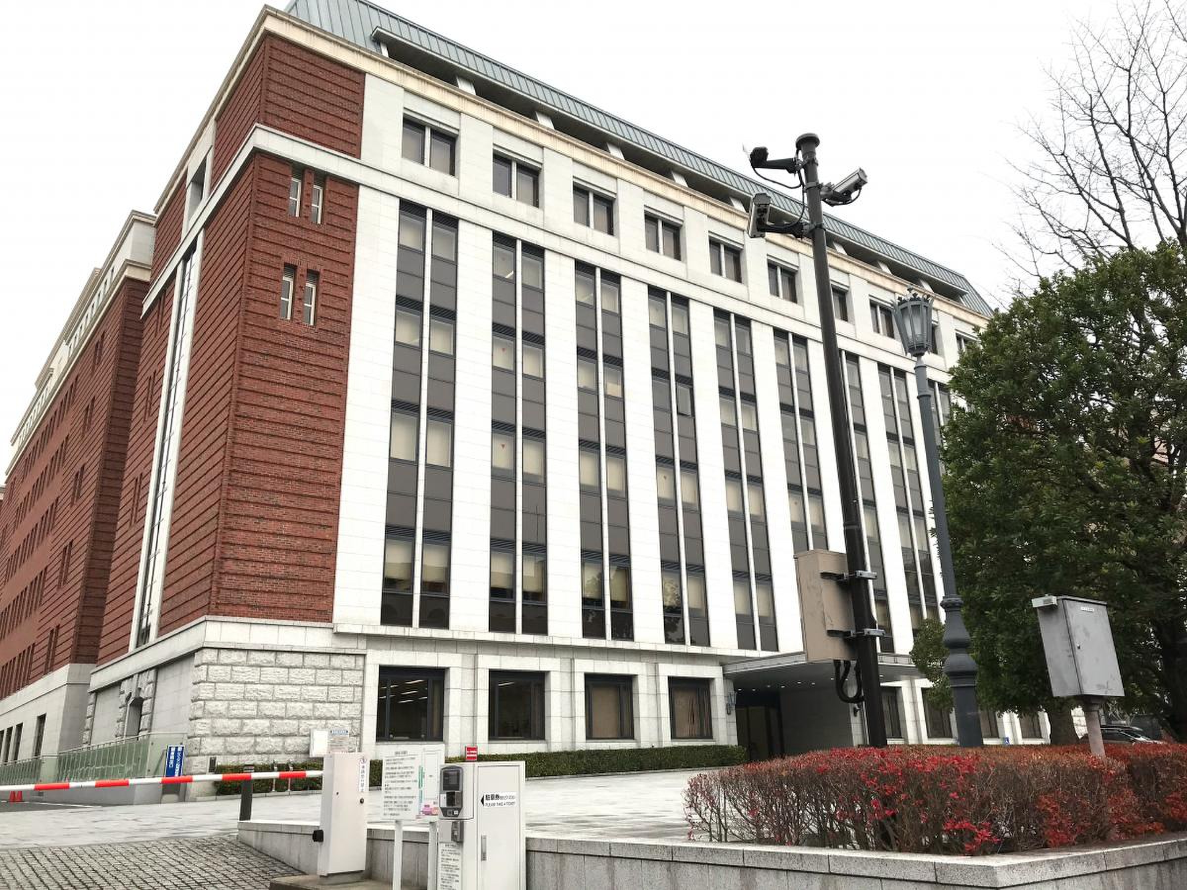 公の場での発言・インタビュー報道記録