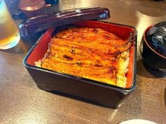 うなぎ創作・鰻樹