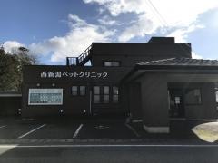 西新潟ペットクリニック