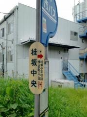 「桂坂中央」バス停留所