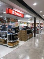 ヤマダ電機　テックランドイオン新浦安店