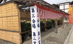 菊花大会