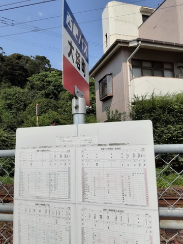 投稿写真4