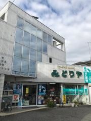 みどりや