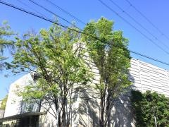 一心寺シアター倶楽