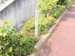 泉中央緑道