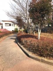 泉中央緑道