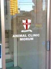 モルム動物病院