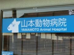 山本動物病院