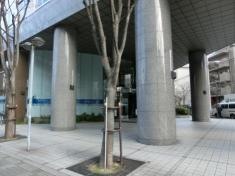 ｅＢＡＳＥ株式会社