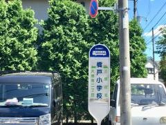 「橋戸小学校」バス停留所