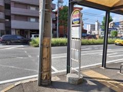 「港北区総合庁舎前」バス停留所