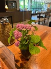 紫野和久傳工房レストランモーリ