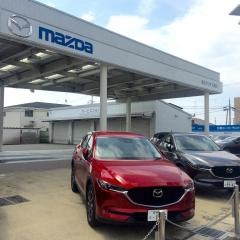 東北マツダ石巻店