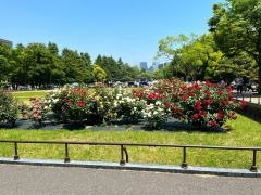 都立日比谷公園