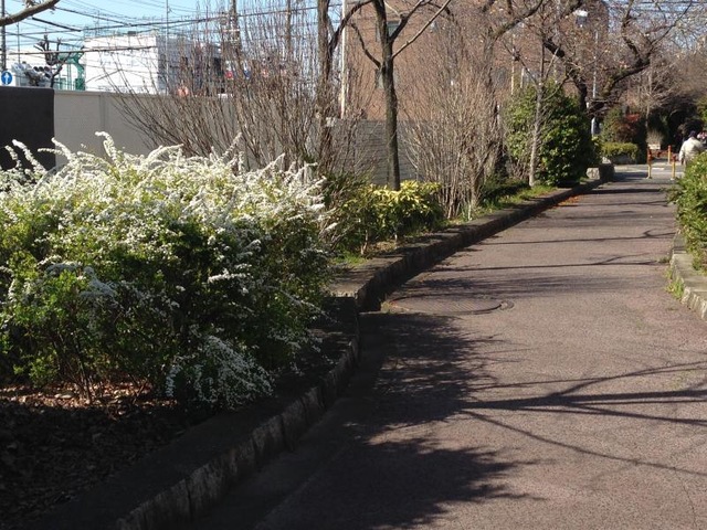 施設写真47