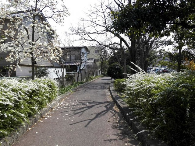 施設写真53