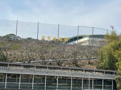 筑紫台高等学校