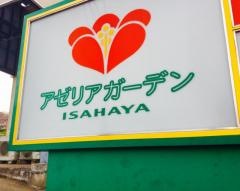 アゼリアガーデン