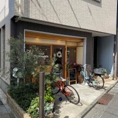 サイフォニスタ