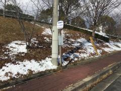 「テクノ中央通り中」バス停留所