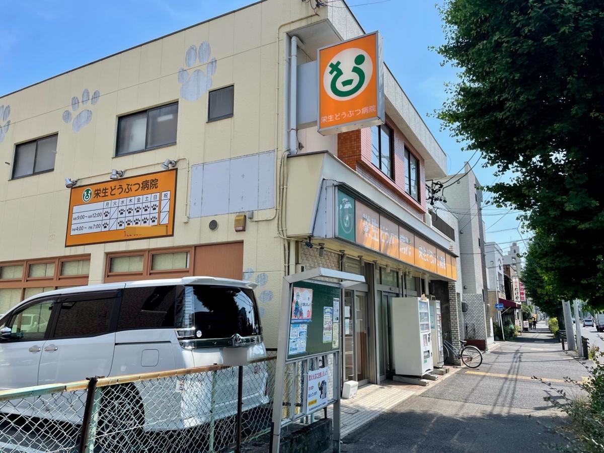 外観