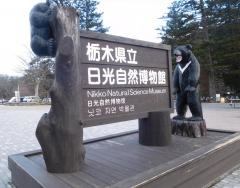 日光自然博物館