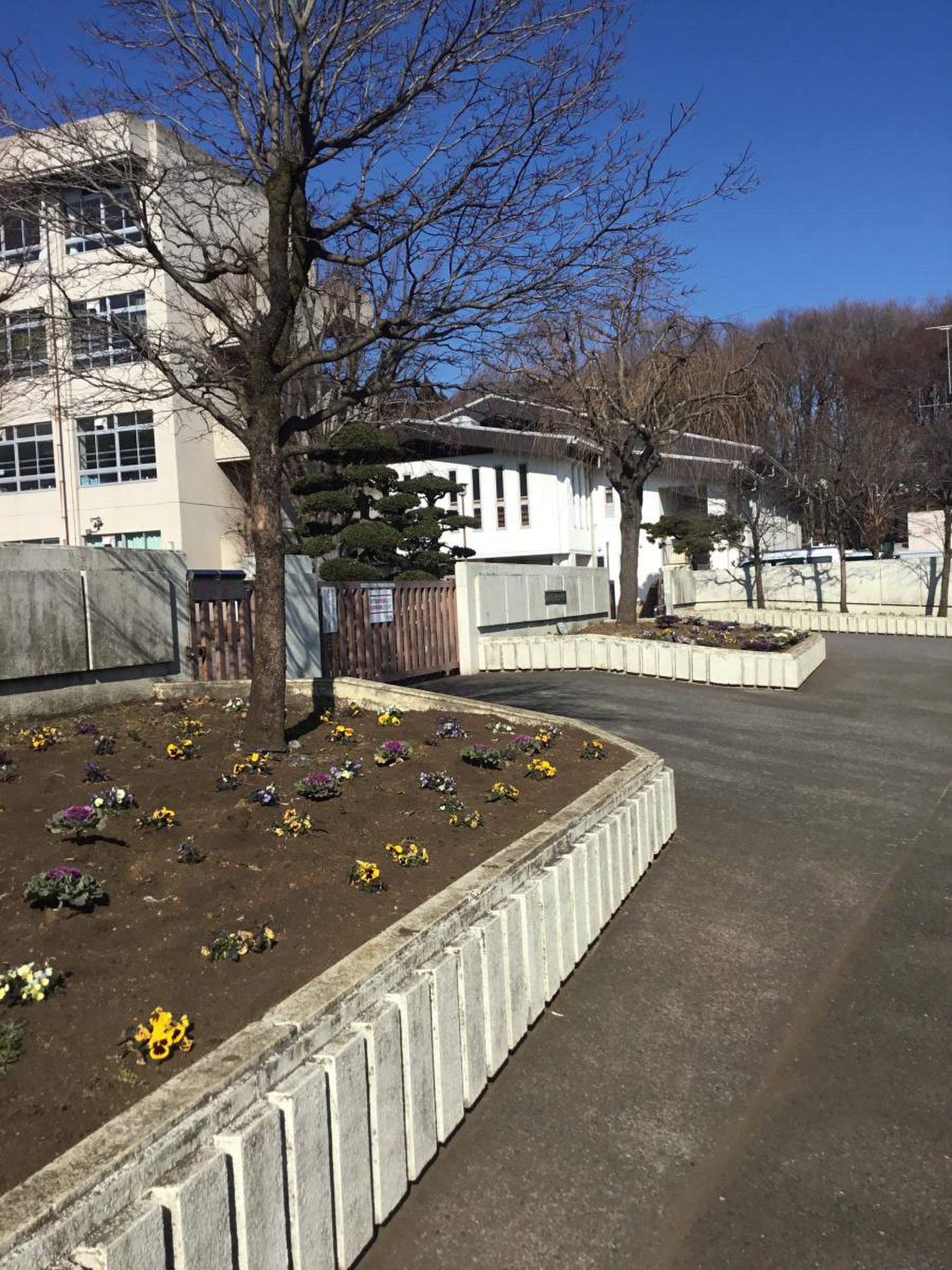 相模原 市立 内 出 中学校