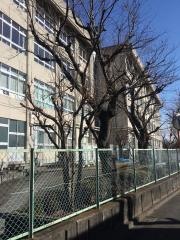 相模原市立内出中学校