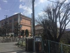 大成小学校