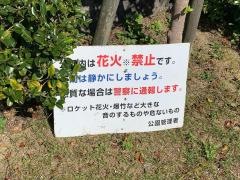 樹木公園